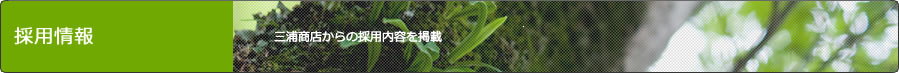 採用情報