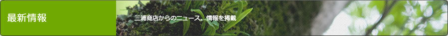 最新情報
